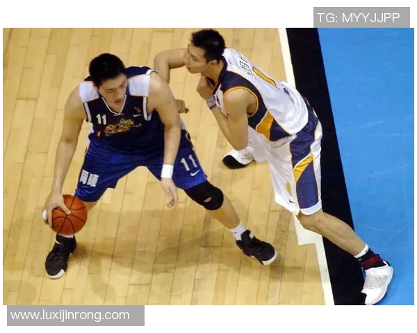 广东与辽宁总决赛精彩重播回顾篮球巅峰对决的激烈瞬间与精彩时刻